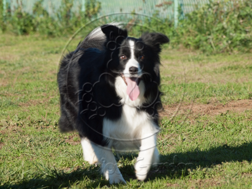 20151128-32.jpg