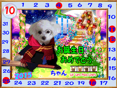 2015-10-27るいちゃん（4歳）誕生日-のコピー