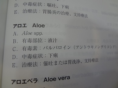 DSC03406.jpg