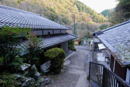 s-15年11月20日 (45)