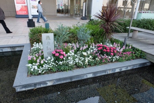 s-15年11月30日 (17)